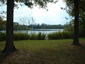 Gainesville Lake Picture